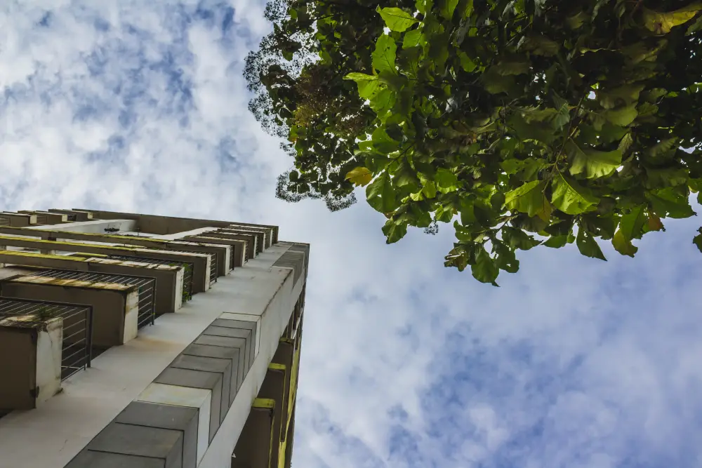 Tall skyscraper tree