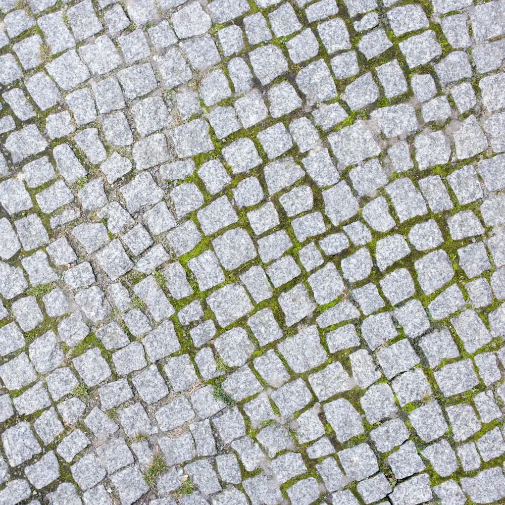natural stone pavement